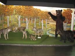 Muzeum Przyrodnicze Bieszczadzkiego Parku Narodowego